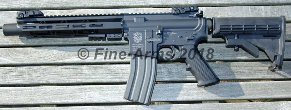 Systema PTW CQBR MAX First Variant SDII