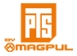 Magpul PTS